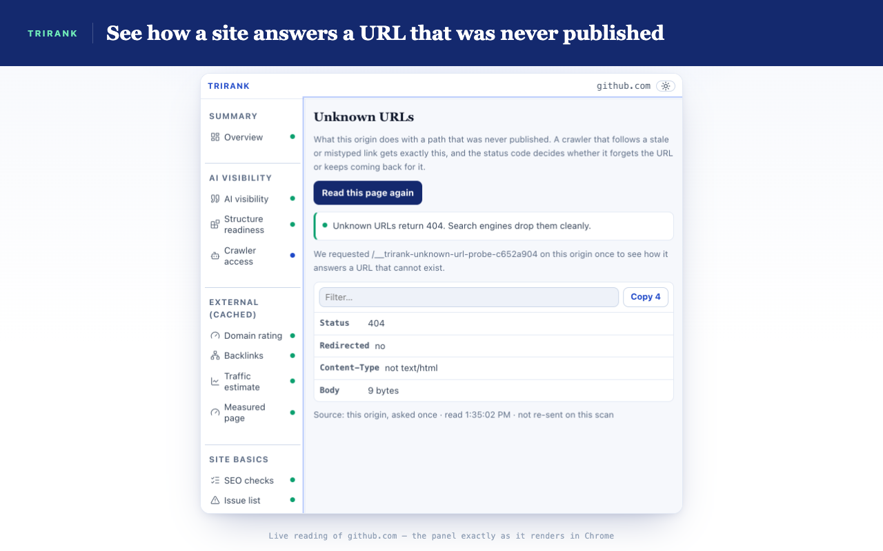 The Unknown URLs screen, showing that github.com returns 404 for a freshly generated path that cannot exist, with the status, redirect, content type and body size.